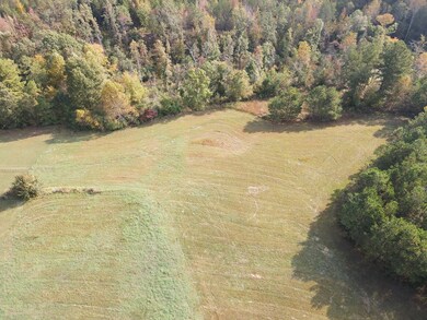 0 Leach Rd, Cedar Grove, TN 38321 - photo 6