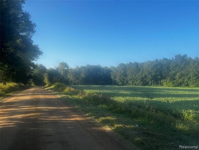 02 Howland Rd, Almont Township, MI 48003 - photo 4