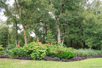 8667 N Upland Dr, Citrus Springs, FL 34434 - photo 3