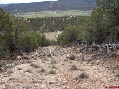 0 Cedar Mesa Rd unit 757710, Cedaredge, CO 81413 - photo 2