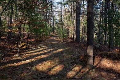 168 Lake St, Sherborn, MA 01770 - photo 7