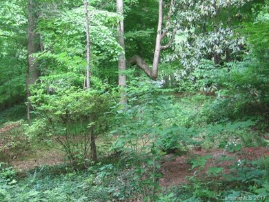 Wooded View at Street in Front of Home
