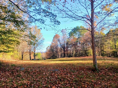 1096 Betts Bridge Rd, West Pawlet, VT 05775 - photo 2