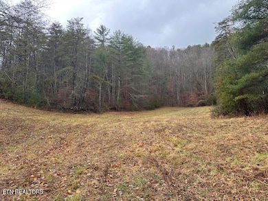 680 Bug Branch Rd, Del Rio, TN 37727 - photo 4