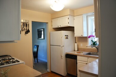 521 E Thacker St, Des Plaines, IL 60016 - photo 7