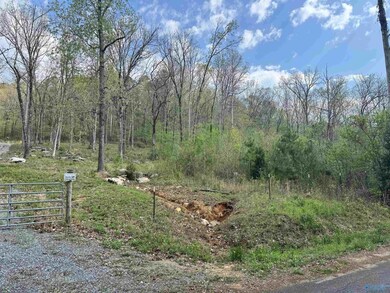 405 Stewart Hollow Rd, Grant, AL 35747 - photo 2