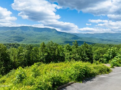 648 Almost Heaven Way, Gatlinburg, TN 37738 - photo 2