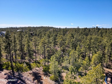 2170 S Pleasant View Dr, Show Low, AZ 85901 - photo 2