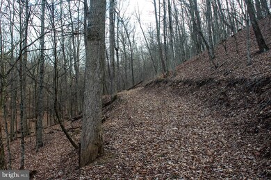 15 Ridges at Branch S, Romney, WV 26757 - photo 4