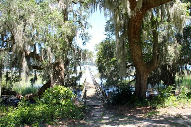 IMG_5042