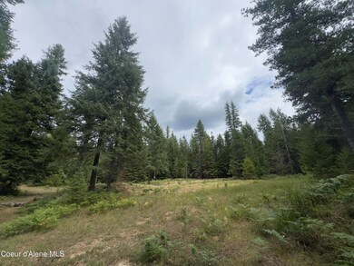 456 Tamarack Ln, Sagle, ID 83860 - photo 6