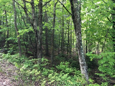 TM12 L29 Blanchard Cross Rd, Bowdoin, ME 04287 - photo 5