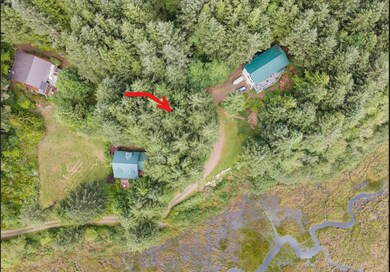 aerial