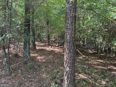 LT 5 Morton Bend Rd, Rome, GA 30161 - photo 2