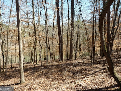 3568 Old Duckett Mill Rd, Gainesville, GA 30506 - photo 6