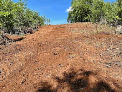 356 Lyman Lake Rd, Lyman, SC 29365 - photo 3