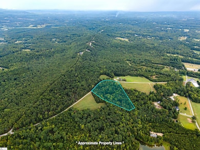 0 S Packs Mountain Rd, Taylors, SC 29687 - photo 4