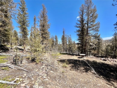 2834 Middle Fork, Fairplay, CO 80440 - photo 6
