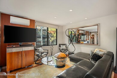 650 S Monarch St unit 9, Aspen, CO 81611 - photo 4