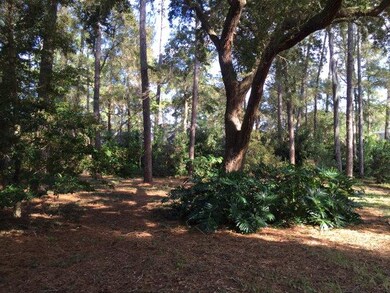 326 Carnoustie, St. Simons Island, GA 31522 - photo 6