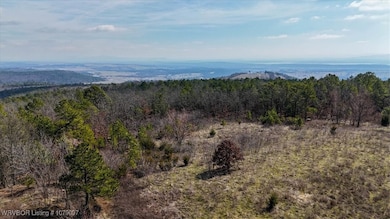 Tract 2 Rd, Wister, OK 74966 - photo 2