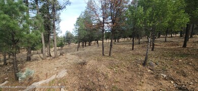 unlisted-address, Ruidoso, NM 88345 - photo 7