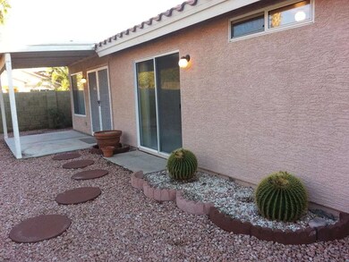 Back yard