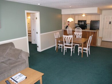 164 Deer Park Dr unit 177C, Woodstock, NH 03262 - photo 4