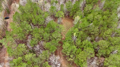 dji_fly_20240317_123320_0037_17106108148