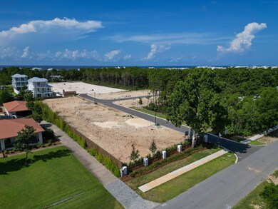 TBD Walton Palm Rd, Inlet Beach, FL 32461 - photo 3