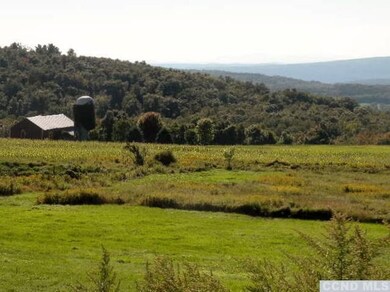 unlisted-address, Millerton, NY 12546 - photo 4