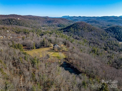 1411 Cabin Creek Rd, Zirconia, NC 28790 - photo 2