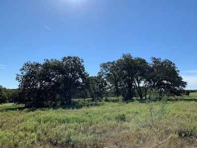 133 ac Hwy 39, Normangee, TX 77871 - photo 3