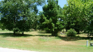 Lot 4 Wildwood Lake Dr, Huntsville, TX 77340 - photo 2