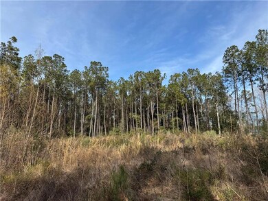 0 Coci Rd, Pearl River, LA 70452 - photo 3