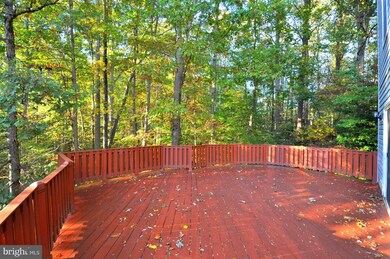 7228 Middleton Dr, Fredericksburg, VA 22407 - photo 5