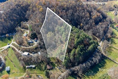 846 Joe Shoemaker Rd, Vilas, NC 28692 - photo 4