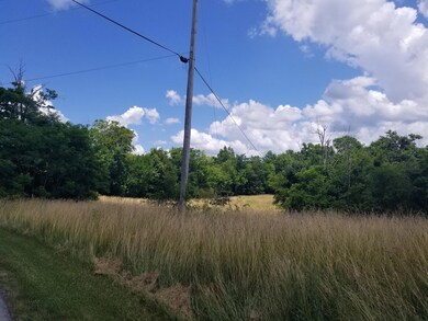 408 Baxter Ridge Rd, Lawrenceburg, KY 40342 - photo 4