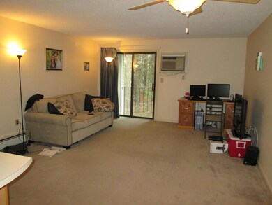 6 Knights Bridge Dr unit UJ307, Nashua, NH 03063 - photo 3