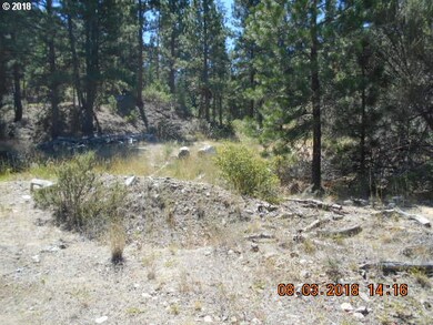 0 Gardner Ranch Ln, Canyon City, OR 97820 - photo 2