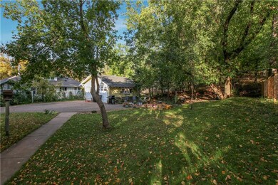 wooded backyard
