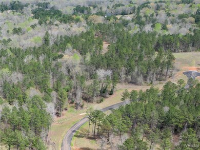 Lot 4 Pine Cir, Coker, AL 35452 - photo 7
