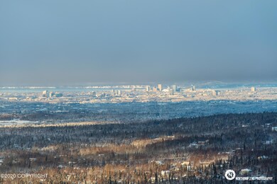 16905 Olena Pointe Cir, Anchorage, AK 99516 - photo 4