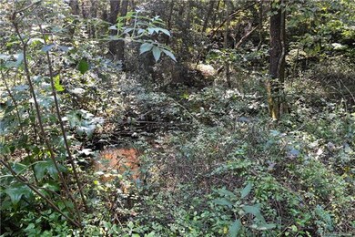 Babbling creek on the front left corner of lot.