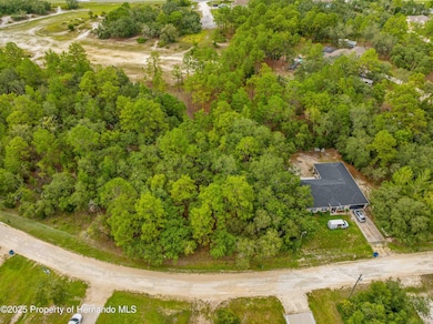 0000 Maybird Ave, Weeki Wachee, FL 34613 - photo 7