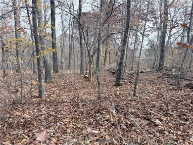 0 Aaron Ln unit 1329009, Bella Vista, AR 72715 - photo 2