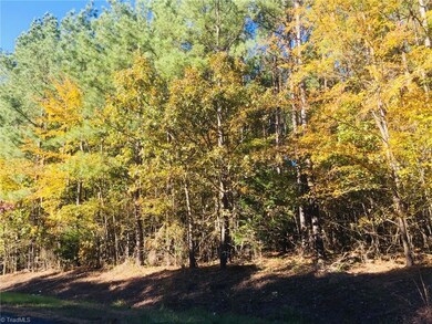 3250 Bethel Lucas Rd, Asheboro, NC 27205 - photo 4