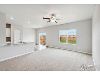 961 Cascade Falls St, Severance, CO 80550 - photo 5