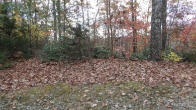 0 Drew Ct unit RTC3050467, Smithville, TN 37166 - photo 2