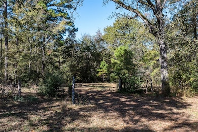 13793 An County Road 404, Palestine, TX 75803 - photo 5
